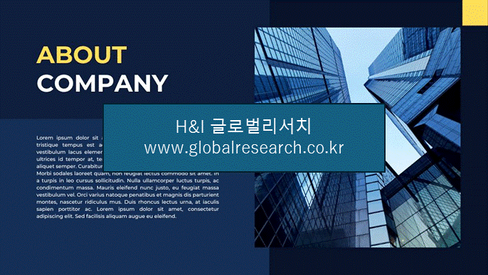 H&I글로벌리서치 조보고서 이미지
