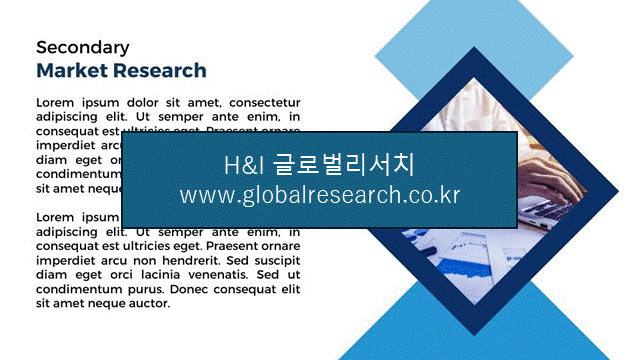 H&I글로벌리서치 조보고서 이미지