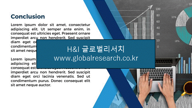 H&I글로벌리서치 조보고서 이미지