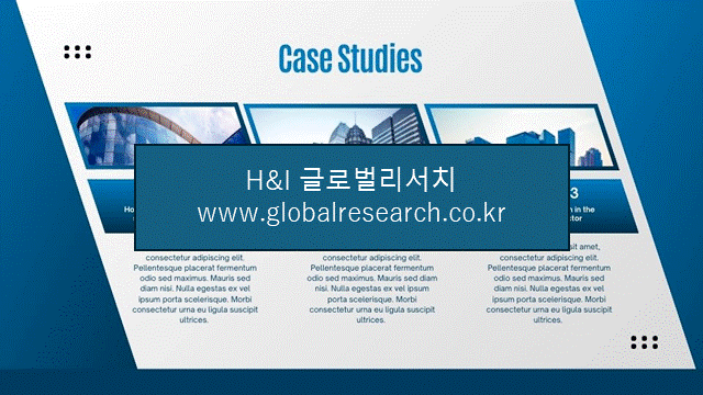 H&I글로벌리서치 조보고서 이미지