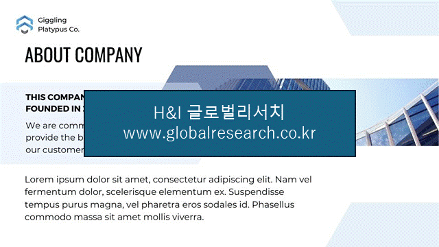 H&I글로벌리서치 조보고서 이미지