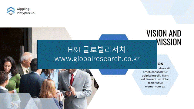 H&I글로벌리서치 조보고서 이미지