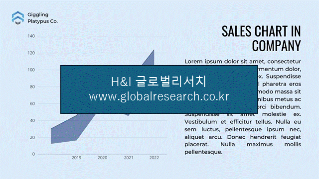 H&I글로벌리서치 조보고서 이미지