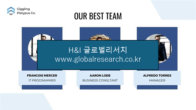 H&I글로벌리서치 조보고서 이미지