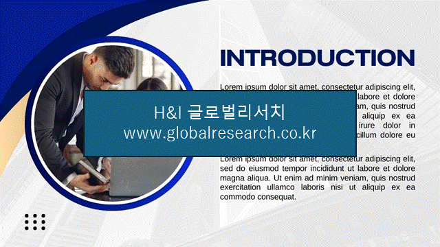 H&I글로벌리서치 조보고서 이미지
