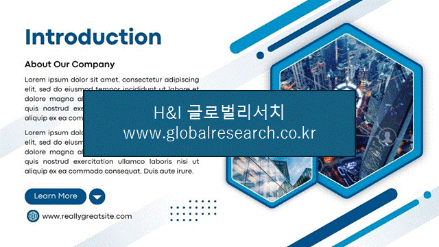 H&I글로벌리서치 조보고서 이미지