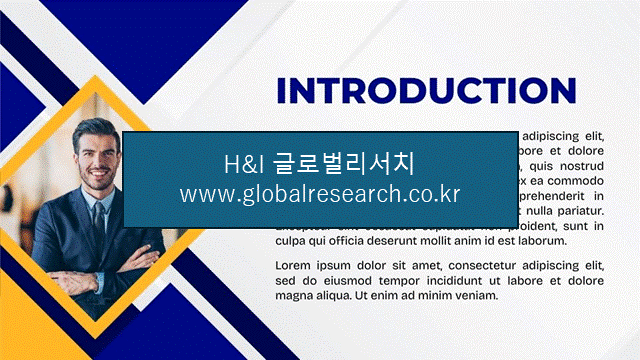 H&I글로벌리서치 조보고서 이미지