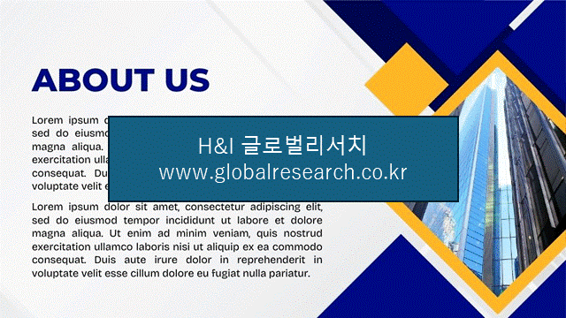 H&I글로벌리서치 조보고서 이미지