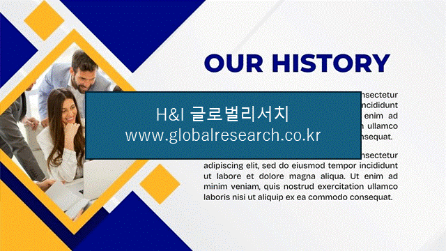 H&I글로벌리서치 조보고서 이미지