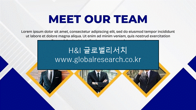 H&I글로벌리서치 조보고서 이미지