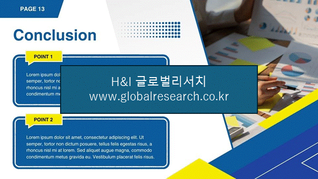 H&I글로벌리서치 조보고서 이미지