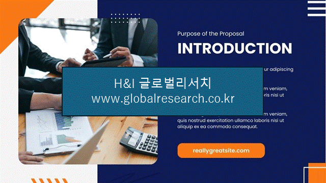 H&I글로벌리서치 조보고서 이미지