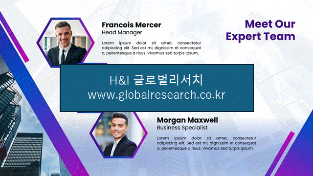 H&I글로벌리서치 조보고서 이미지