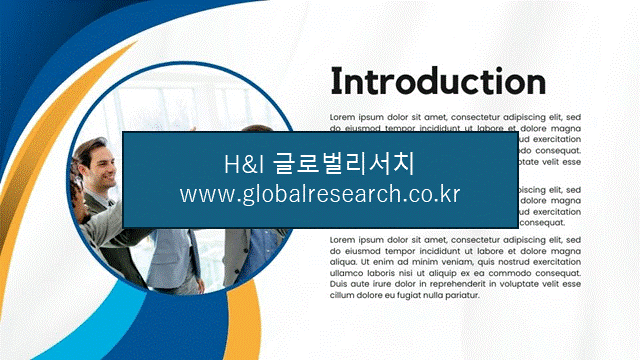 H&I글로벌리서치 조보고서 이미지