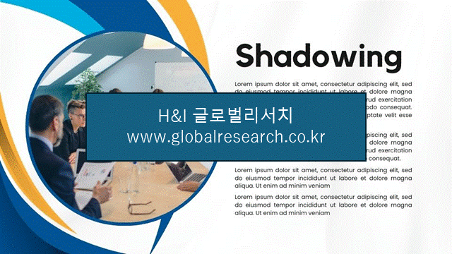 H&I글로벌리서치 조보고서 이미지