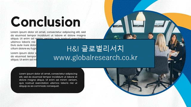 H&I글로벌리서치 조보고서 이미지
